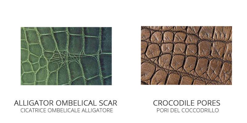 4 lý do nên mua giày da cá sấu chính hãng