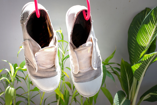 Giày Vải nữ cao cấp ZSTYLE Giày Vải nữ cao cấp ZSTYLE