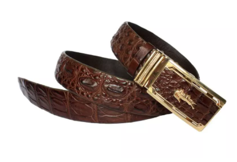 Top 99 Dây Lưng Da Cá Sấu Đẹp Nhất Hiện Nay