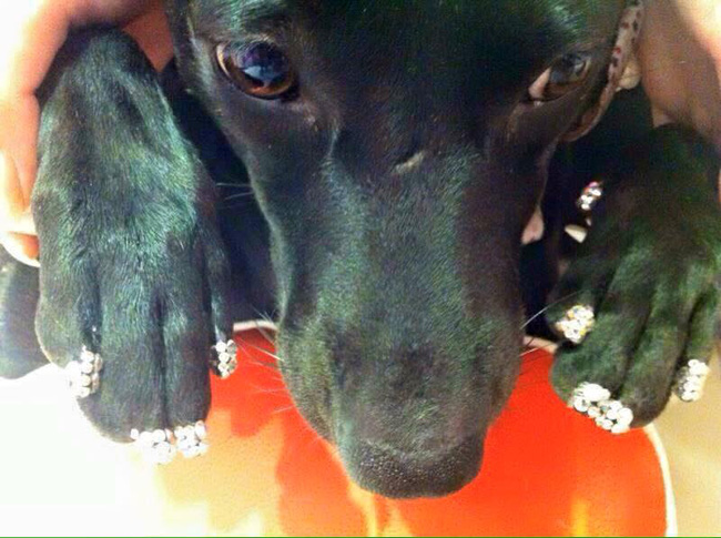 Xem xong loạt ảnh các bộ nóng này, các bạn nam phải thốt lên kiếp sau xin phép cho tôi làm con trai tiếp vậy